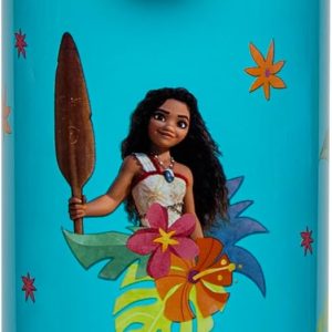 Zak Designs Disney Moana Sage Kids Water Bottle For School or Travel, 14oz Stainless Steel Water Bottle With Straw, Handle, and Leak-Proof, Pop-Up Spout Cover (Moana, Maui, Pua, Hei Hei)