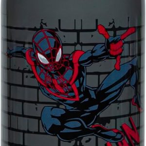 Zak Designs Marvel Spider-Man Sage Kids Water Bottle For School or Travel, 19oz Stainless Steel Water Bottle With Straw, Handle, and Leak-Proof, Pop-Up Spout Cover (Miles Morales)